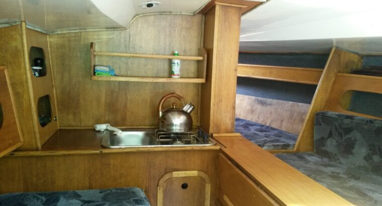 TANGO SPORT 780