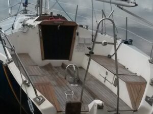 TANGO SPORT 730