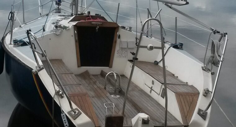TANGO SPORT 730