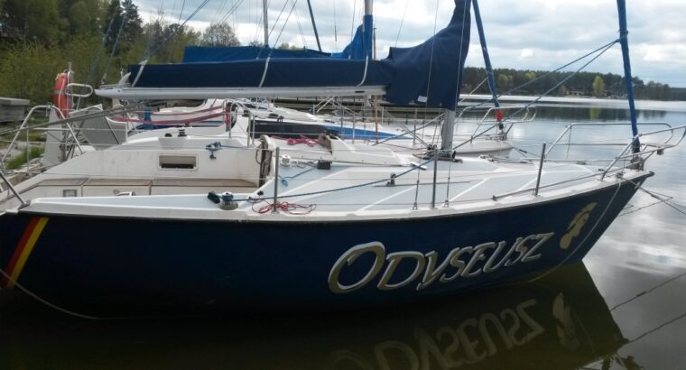 TANGO SPORT 730