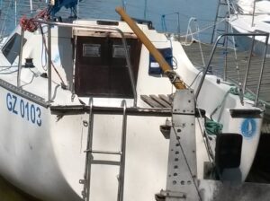 LUPUS