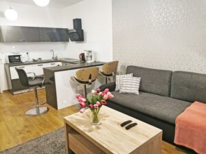 Apartament 2-pokojowy Feniks 405