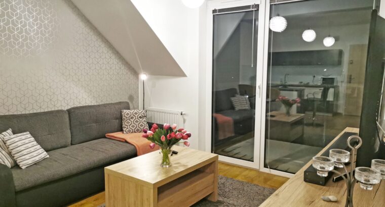 Apartament 2-pokojowy Feniks 405