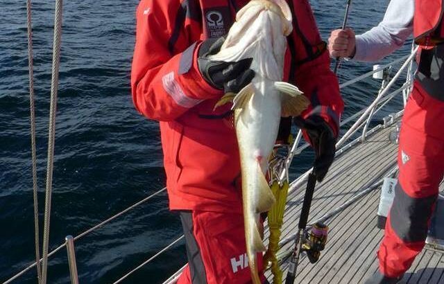 Rejs Tromsø – Bodø