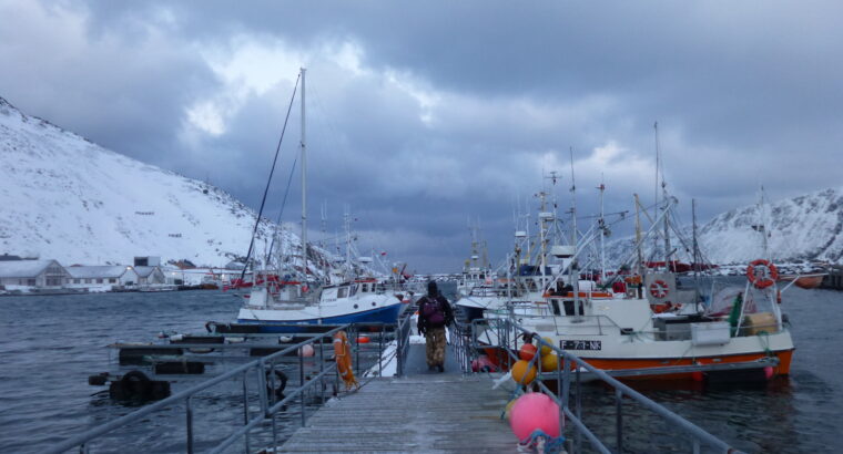 Rejs Bodø – Tromsø