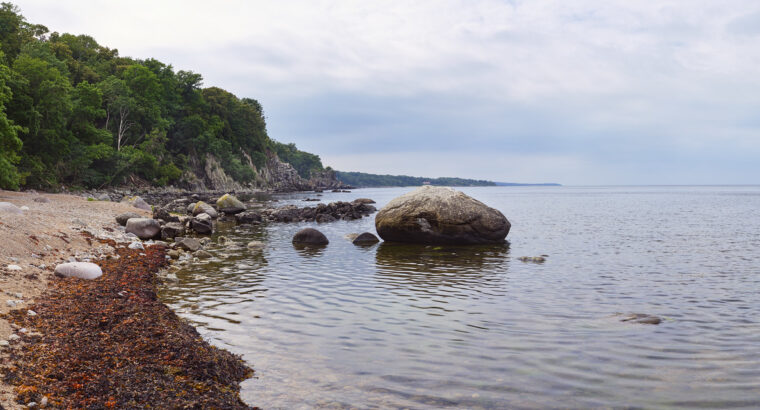 Rejs Trzebież – Skagen