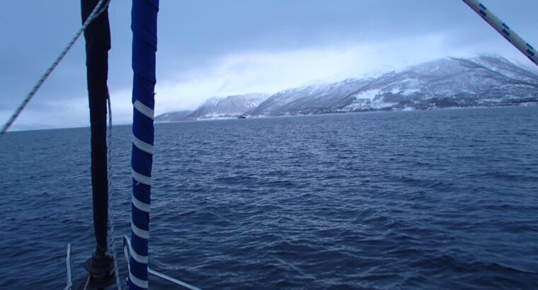 Tromsø- Wyspa Niedźwiedzia- Svalbard