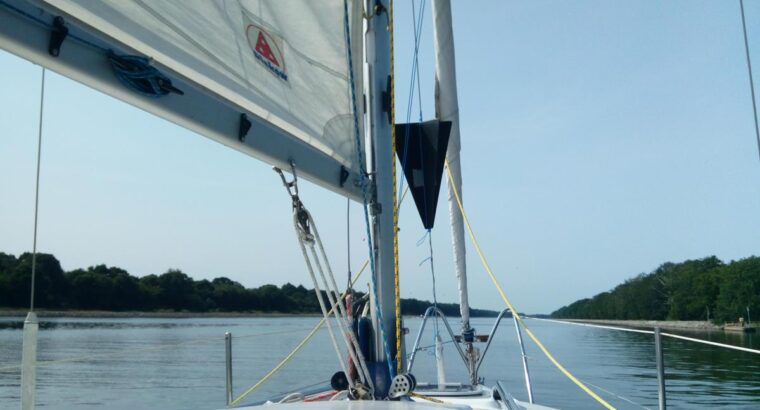 Rejs do Szczecina na The Tall Ship Races