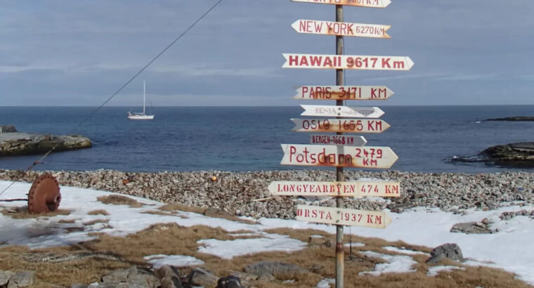 Wyspa Niedźwiedzia i Poł. Spitsbergen – rejs autorski