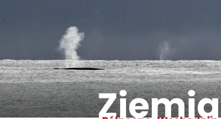 Ziemia Północno-Wschodnia (Svalbard) – 22.08-08.09.2024