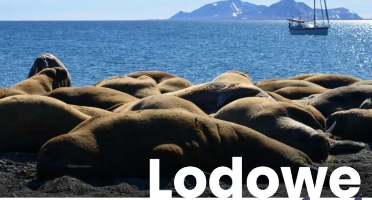 Spitsbergen – Lodowe Safari – 29.06.2024