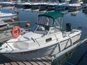 Bayliner Trophy 1802