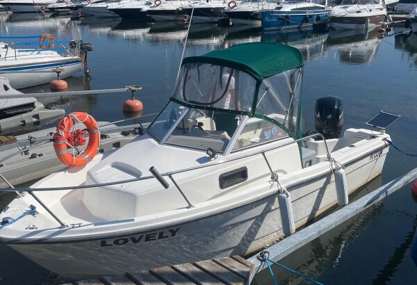 Bayliner Trophy 1802