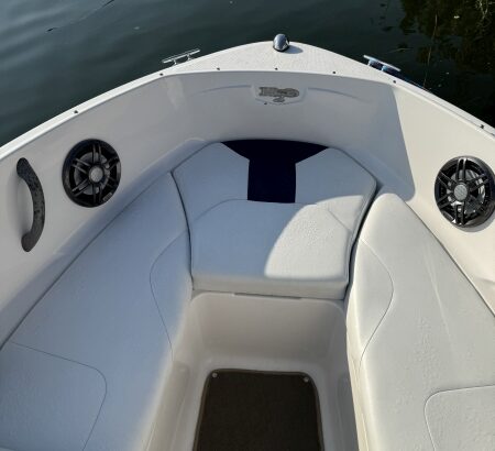 Chaparral 18 H2O
