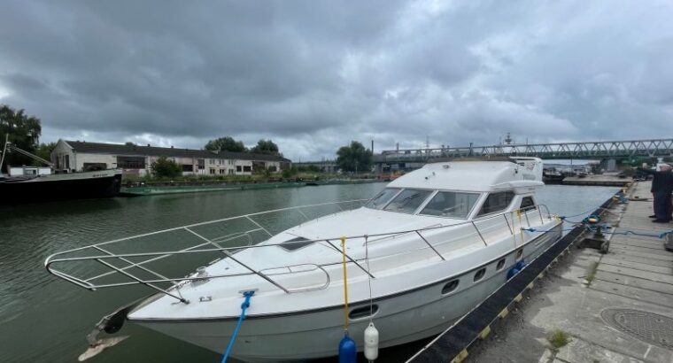 Princess 455