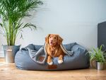 Best Dog Toys And Accesso...
