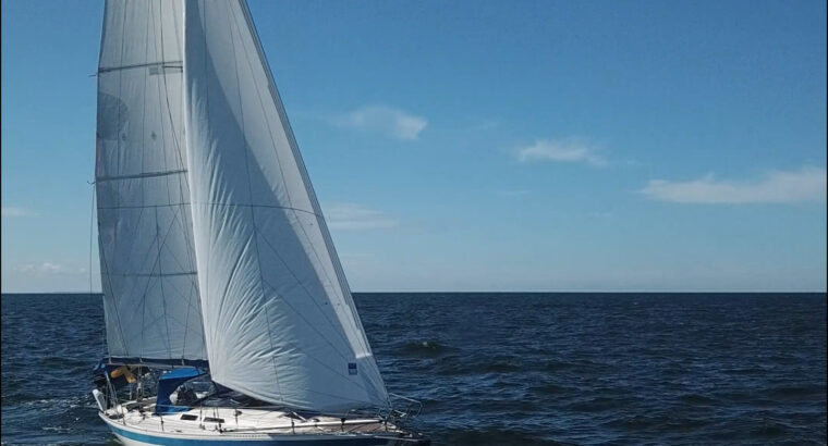 23.06 – 29.06.2025 Tydzień w szkierach