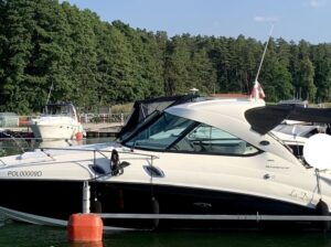 Sea Ray 305