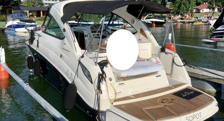 Sea Ray 305