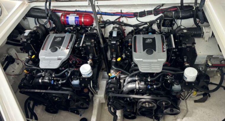 Sea Ray 305